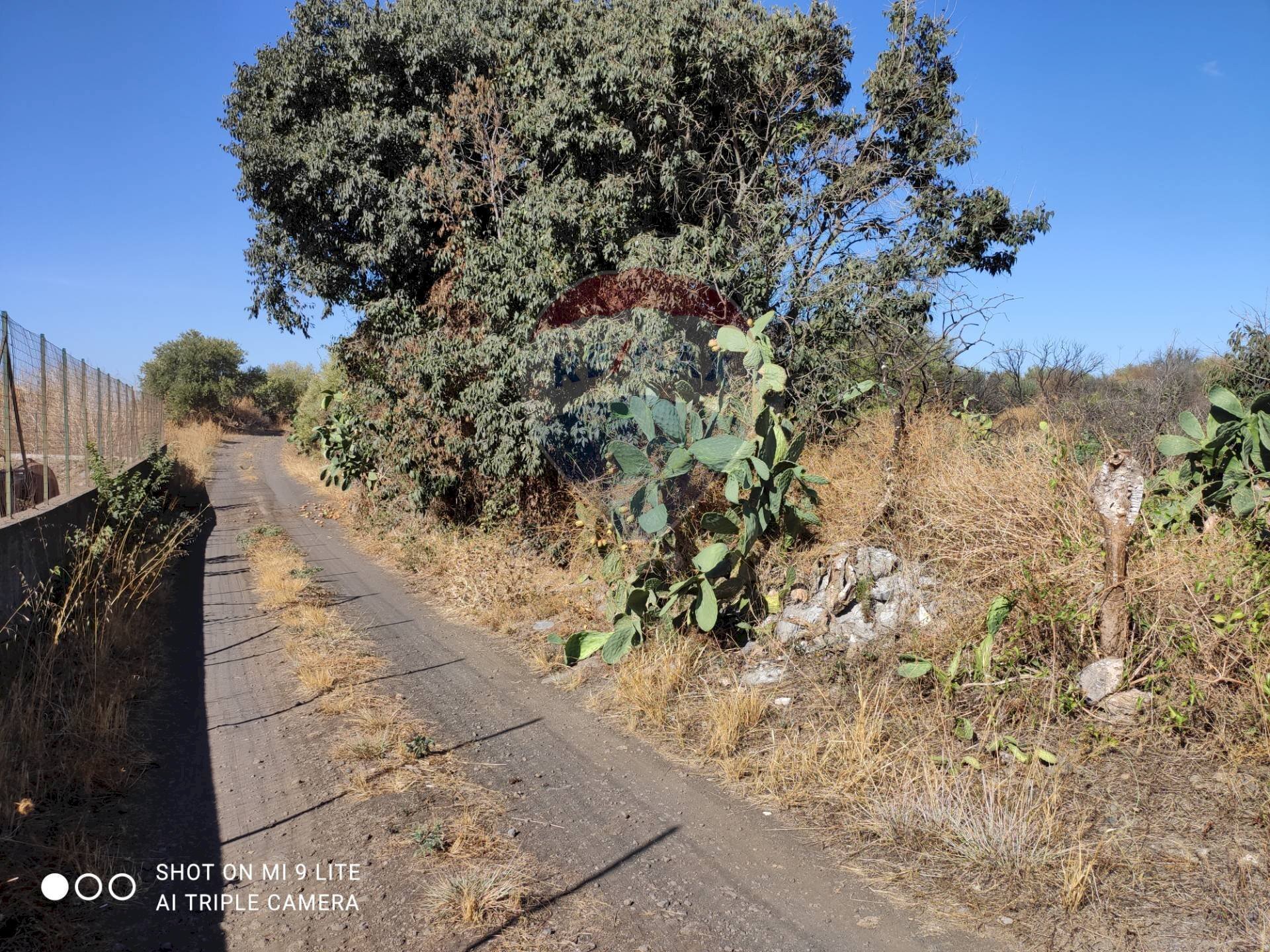 Non correlato - Terreno agricolo contrada sciare vignale, Belpasso - foto 1