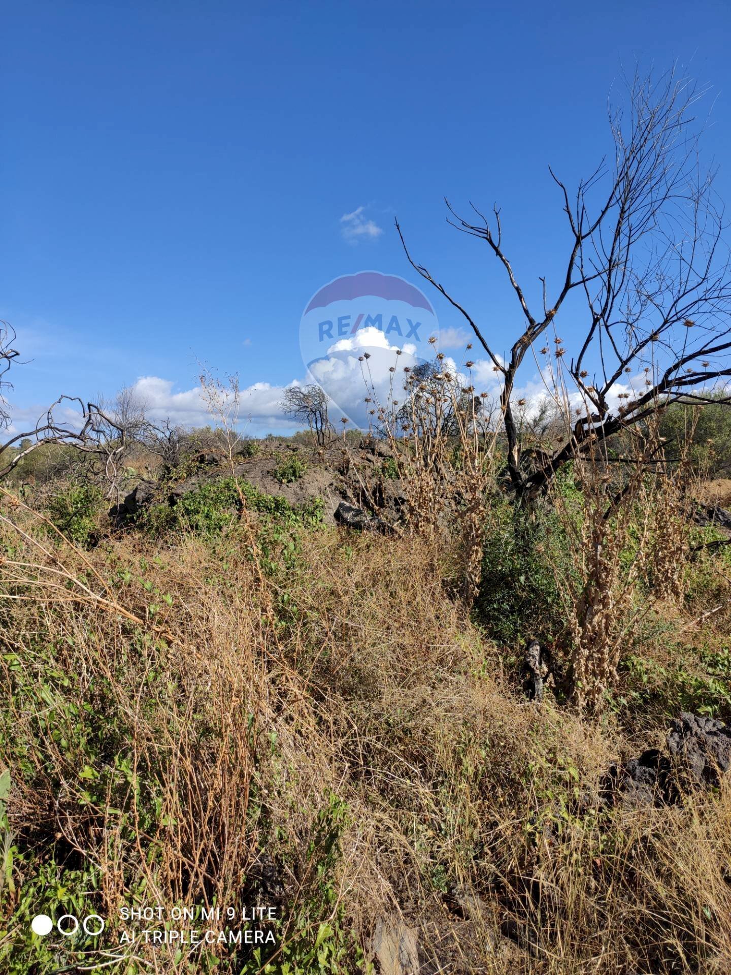 Vista delle montagne - Terreno agricolo contrada sciare vignale, Belpasso - foto 3