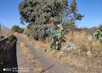 Non correlato - Terreno agricolo contrada sciare vignale, Belpasso - foto 1