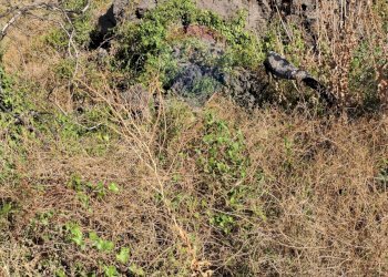 Vista delle montagne - Terreno agricolo contrada sciare vignale, Belpasso - foto 6