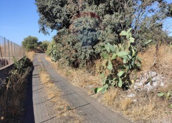 Giardino - Terreno agricolo contrada sciare vignale, Belpasso - foto 8