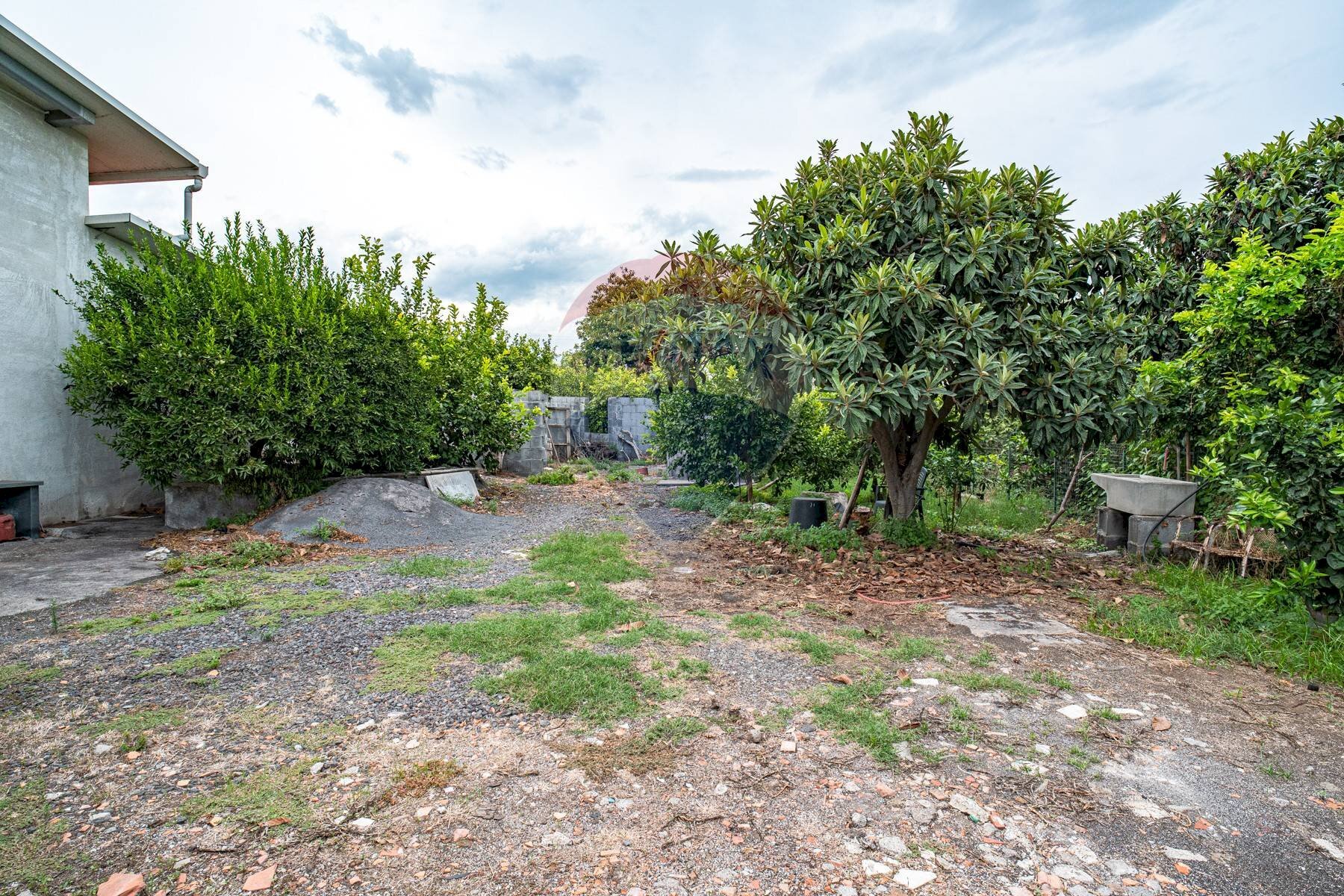 Giardino - Terreno agricolo Via Reitana
45, Aci Catena - foto 3