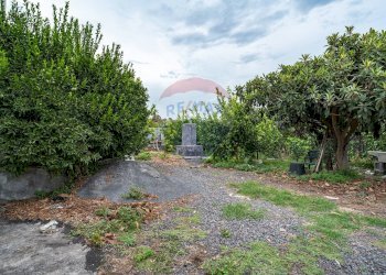Giardino - Terreno agricolo Via Reitana
 
45, Aci Catena - foto 5