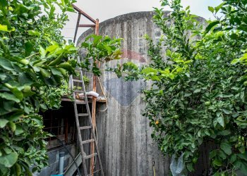 Giardino - Terreno agricolo Via Reitana
 
45, Aci Catena - foto 22