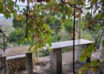 Giardino - Villa Contrada Gatta
 
snc, Mirabella Imbaccari - foto 6