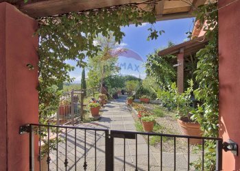 Terrazza - Agriturismo Castelfranco Piandiscò - foto 1