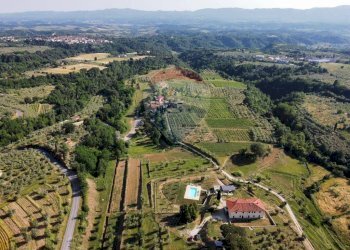 Vista delle montagne - Agriturismo Castelfranco Piandiscò - foto 28