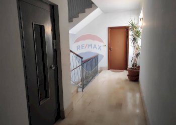 Hall / corridoio - Quadrilocale Via Gaetano Amati
 
115, Venaria Reale - foto 25