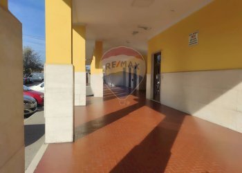 Terrazza - Quadrilocale Via Gaetano Amati
 
115, Venaria Reale - foto 26