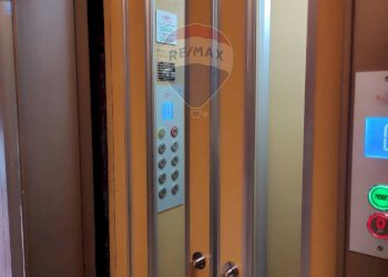 Hall / corridoio - Quadrilocale Via Gaetano Amati
 
115, Venaria Reale - foto 34