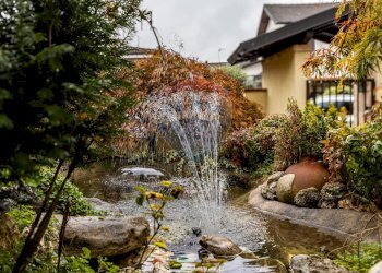 Giardino - Villa via carlo marx
 
27, Settala - photo 66