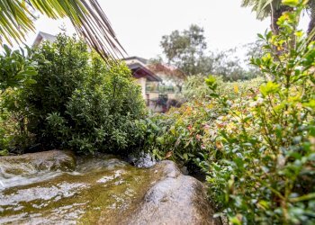 Giardino - Villa via carlo marx
 
27, Settala - photo 67