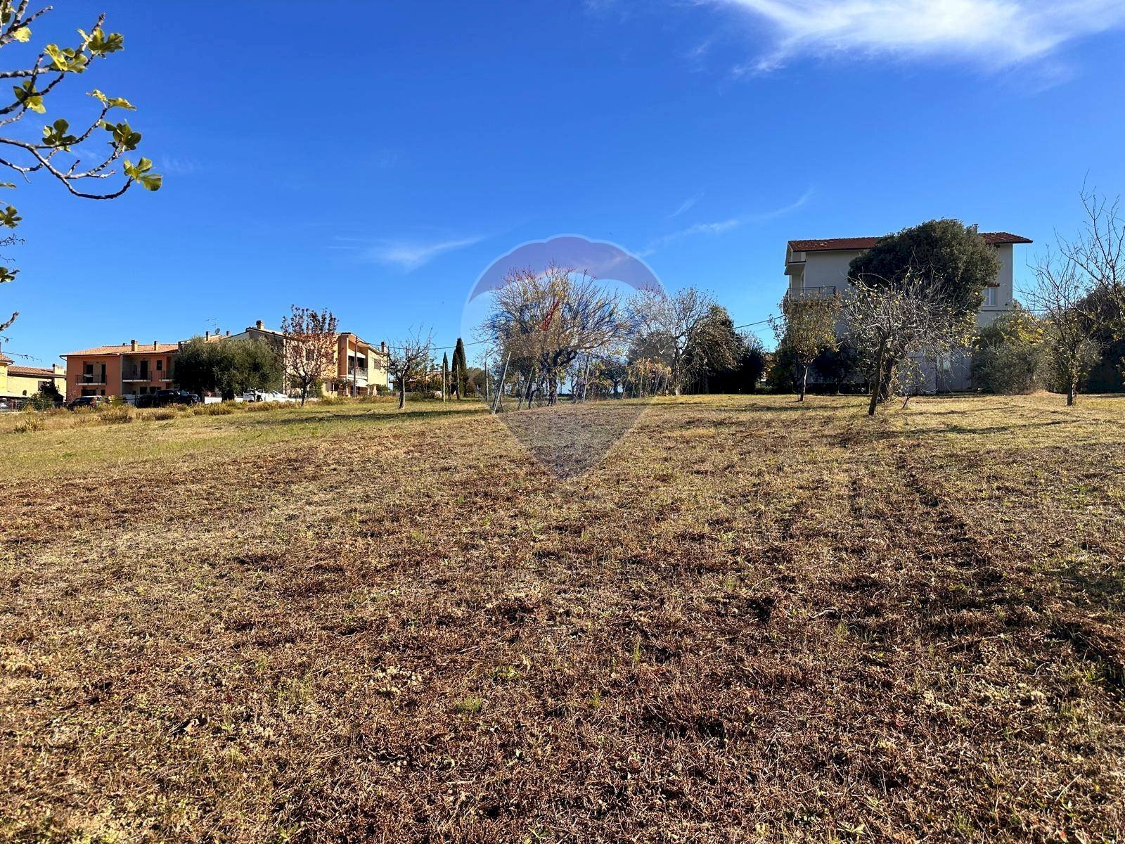 Giardino - Terreno edificabile Osimo - foto 3