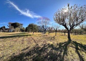 Giardino - Terreno edificabile Osimo - foto 8