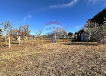 Giardino - Terreno edificabile Osimo - foto 9