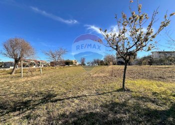 Giardino - Terreno edificabile Osimo - foto 12