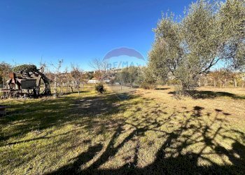 Giardino - Terreno edificabile Osimo - foto 13