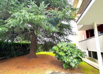 Giardino - Quadrilocale VIA SANT'AMBROGIO
 
19/A, Romentino - foto 12