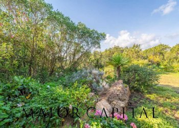 Foto 47 - Villa Via Mascaratu
 
68, Arzachena - foto 47