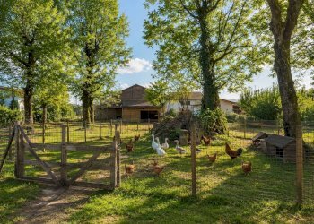 Foto 25 - Villa Via Tramonti, Arce - foto 25