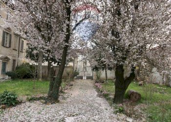 Giardino - Rustico San Zenone al Po - foto 56