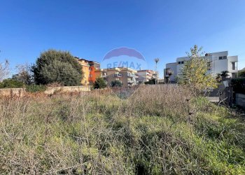 Non correlato - Terreno agricolo Corso Italia
 
snc, Sant'Antimo - foto 2