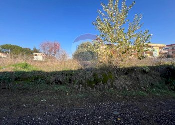 Giardino - Terreno agricolo Corso Italia
 
snc, Sant'Antimo - foto 5