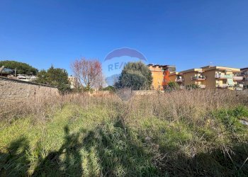 Non correlato - Terreno agricolo Corso Italia
 
snc, Sant'Antimo - foto 6