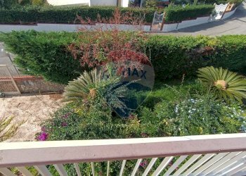 Giardino - Villa Formia - foto 15