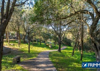 Foto 3 - Bilocale via sa jaga brugiada
 
41, Olbia - foto 3