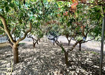 Giardino - Villa Valderice - photo 80