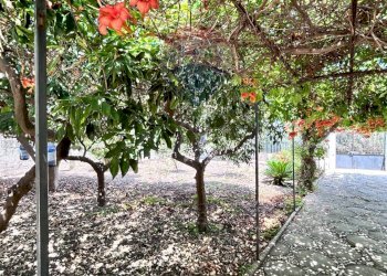 Giardino - Villa Valderice - photo 81