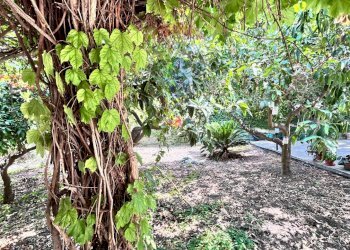 Giardino - Villa Valderice - photo 82