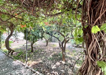 Giardino - Villa Valderice - photo 83