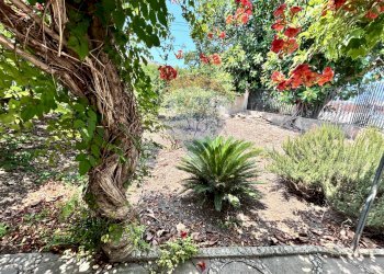 Giardino - Villa Valderice - photo 86