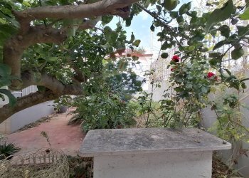 Giardino - Villa Via Guatemala
 
82, Vittoria - foto 17