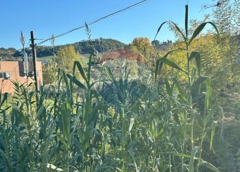 Vista delle montagne - Rustico Via Val di Foro, Villamagna - foto 12