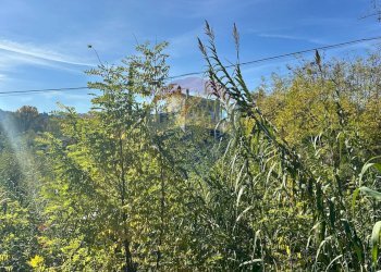 Vista delle montagne - Rustico Via Val di Foro, Villamagna - foto 15