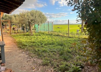 Foto 11 - Casa indipendente Via delle Rene Coltano Pisa
 
20, Pisa - foto 11