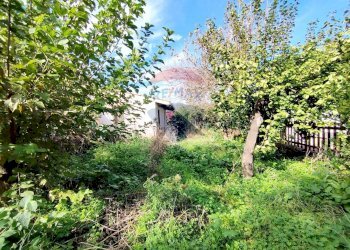 Giardino - Casa semi indipendente Via Ruffo Di Calabria, Palermo - foto 33