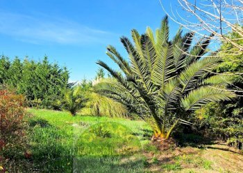 Foto 1 - Terreno agricolo Cupello - foto 1