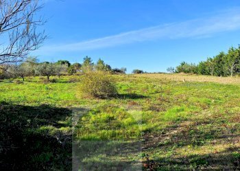 Foto 3 - Terreno agricolo Cupello - foto 3