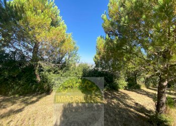 Foto 6 - Terreno agricolo Cupello - foto 6