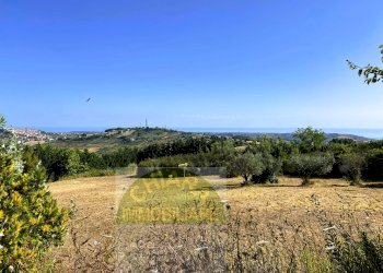 Foto 7 - Terreno agricolo Cupello - foto 7