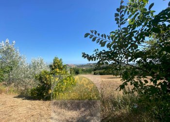 Foto 8 - Terreno agricolo Cupello - foto 8