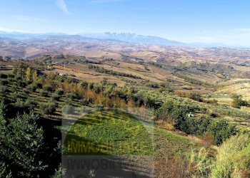 Foto 9 - Terreno agricolo Cupello - foto 9