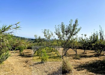 Foto 10 - Terreno agricolo Cupello - foto 10