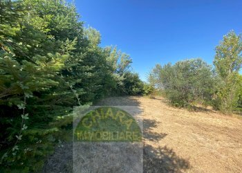 Foto 11 - Terreno agricolo Cupello - foto 11