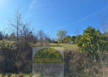 Foto 12 - Terreno agricolo Cupello - foto 12