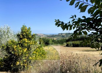 Foto 13 - Terreno agricolo Cupello - foto 13